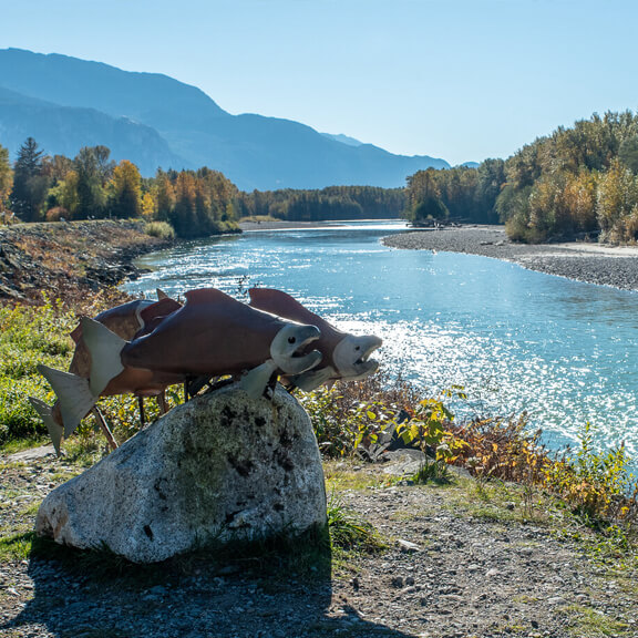 Squamish, statue of two fish mounted on a rock next to a river with mountains in background.