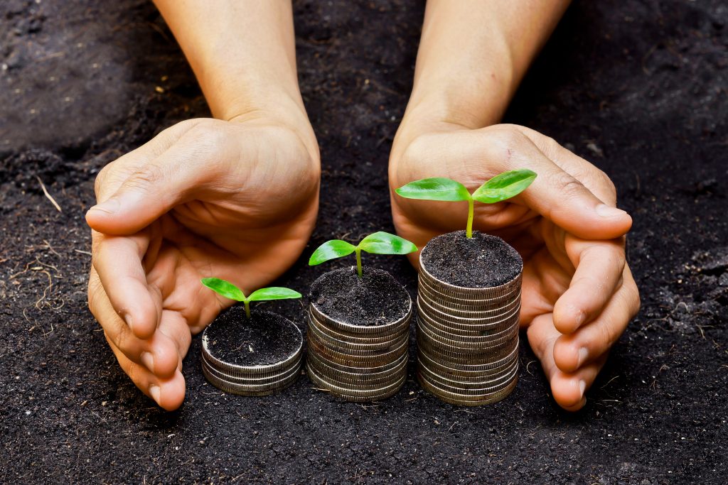 hands protecting three seedlings growing on stacks on coins. 