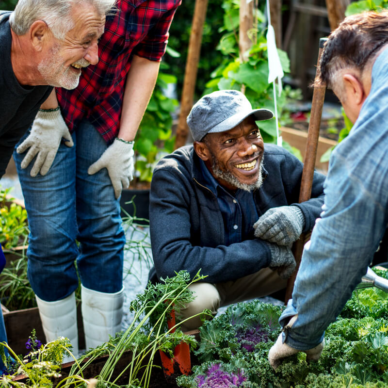 happy people in a community garden.